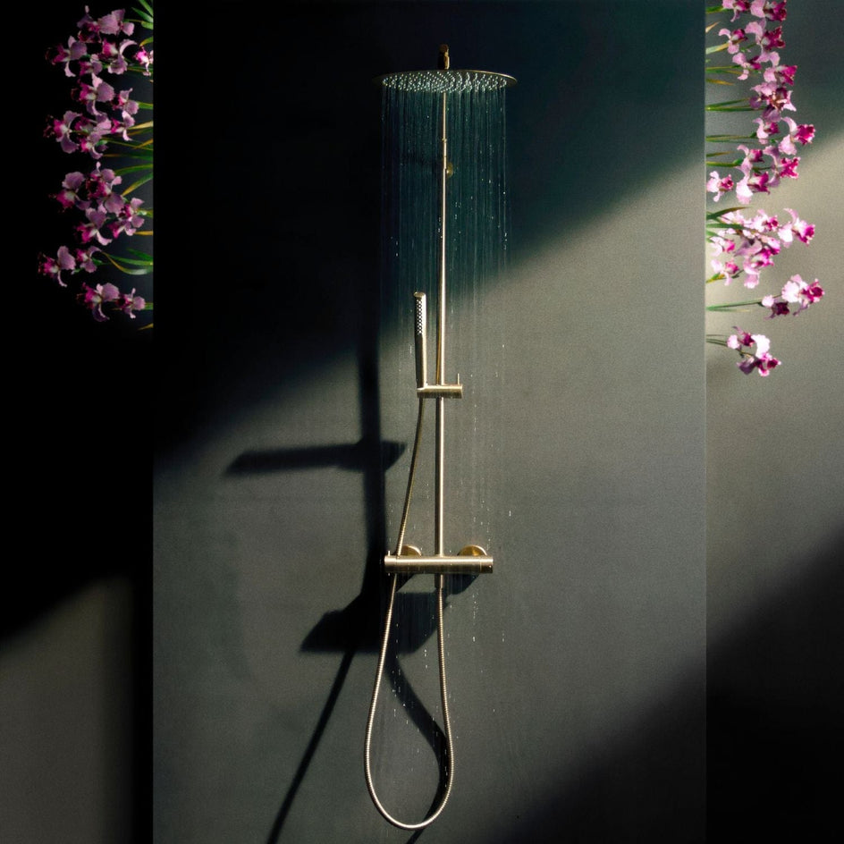 Damixa Iris Takdusj Damixa Takdusj