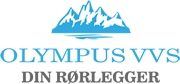 Olympus-Vvs logo