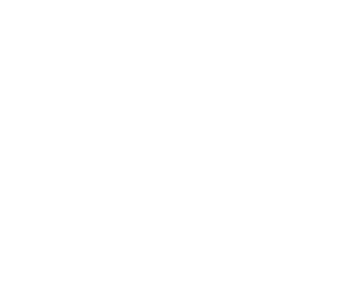 Storm-Elektro logo