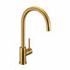 A-Collection Azur I/II Eco Kjøkkenarmatur Børstet gull / Nei A-collection Kjøkkenarmatur GRO-4228028