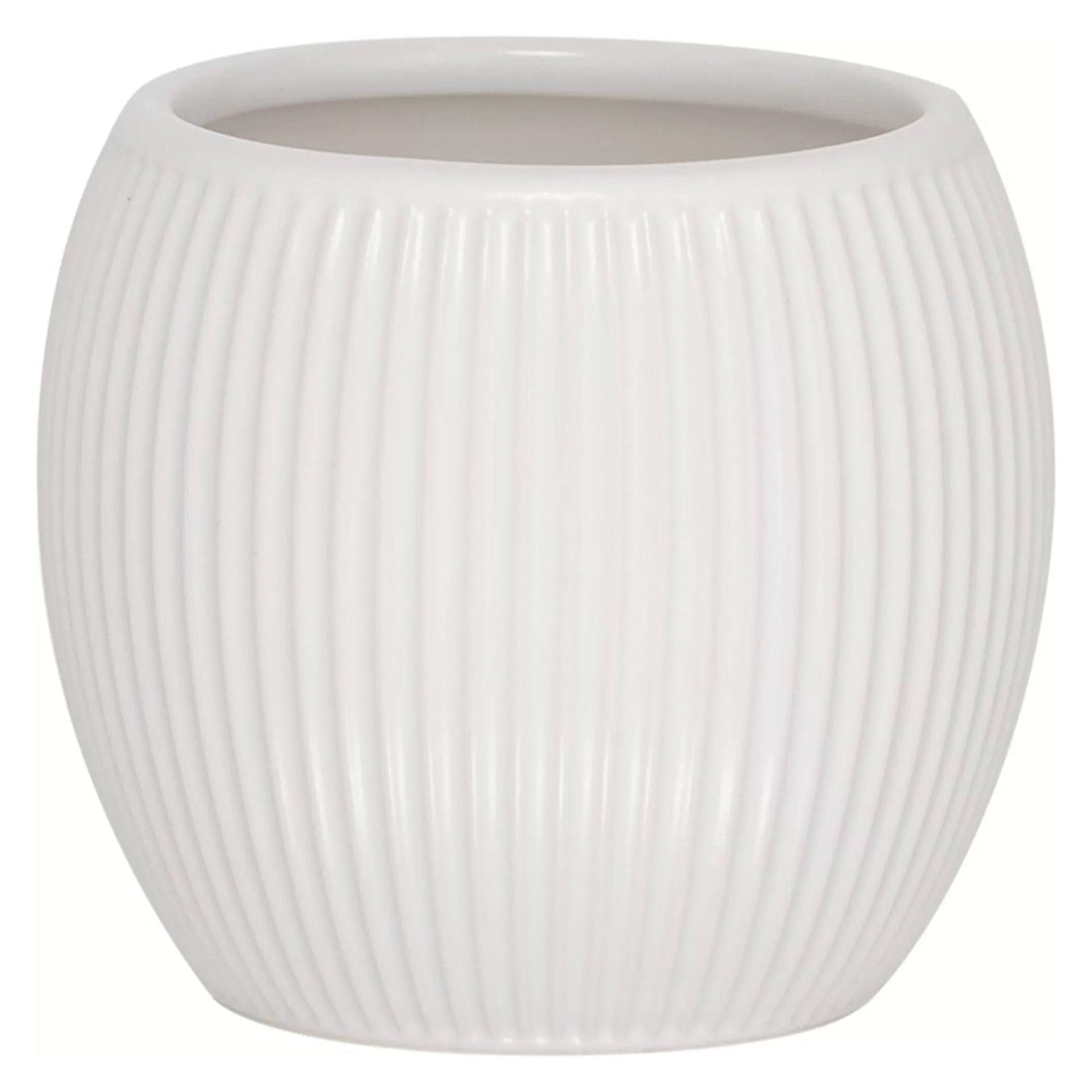 Sealskin Convex tannglass Sealskin Tannbørsteholder