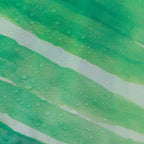 Sealskin Leaves dusjforheng 180x200 grønn